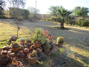 10 ha Farm in Daleside