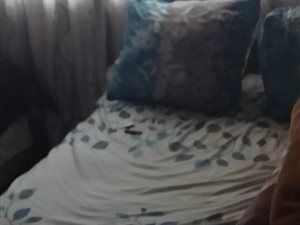 1 Bed Apartment in Springs Central