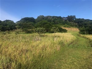 799 m² Land available in Seaton Estate