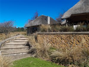 4.7 ha Farm in Howick