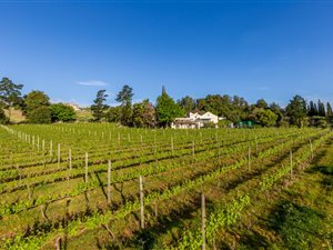 3 ha Farm in Stellenbosch Agricultural
