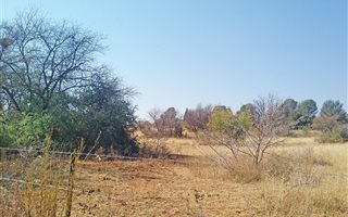 4.3 ha Land available in Spitskop