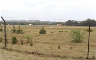 2023.4 ha Farm in Walkers Fruit Farms