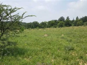 8567 m² Land available in Chartwell