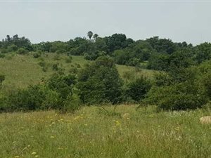 8567 m² Land available in Chartwell