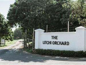 4.1 ha Land available in Umhlali