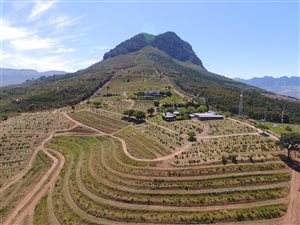 22 ha Farm in Helderberg Estate