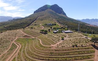 22 ha Farm in Helderberg Estate