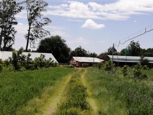 25.6 ha Farm in Hartswater
