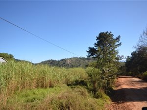 3 m² Smallholding in Robberg