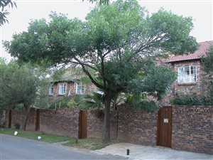 3 Bed Duplex in Kensington B