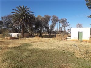 Farm in Klerksdorp