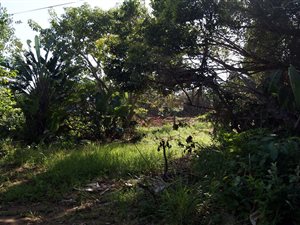 1486 m² Land available in Munster