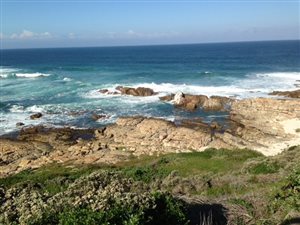 40 ha Farm in Cape St Francis