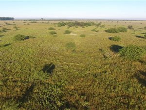 360 ha Farm in Hertzogville