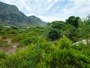 1179 m² Land available in Bettys Bay