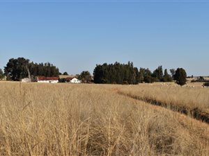 386.3 ha Farm in Ventersdorp