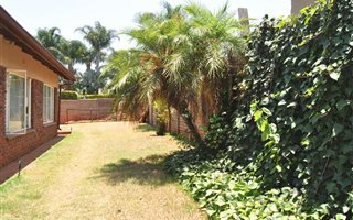 1 Bedroom Apartment in Mountain View