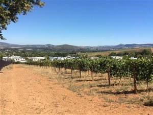 594 m² Land available in Paryskloof