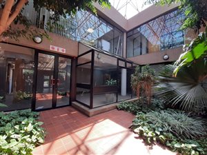 233 m² Commercial space in Randburg Central