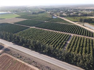 86 ha Farm in Addo
