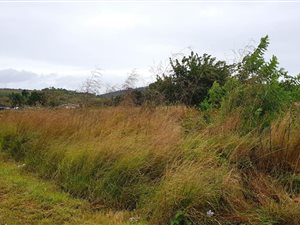 6000 m² Land available in Verulam