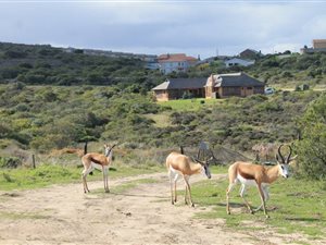 1612 m² Land available in Aalwyndal