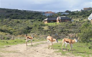 1612 m² Land available in Aalwyndal
