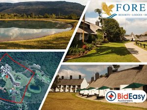 5.6 ha Farm in Pilgrims Rest