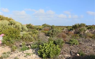 701 m² Land available in Struisbaai