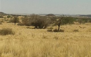 402.6 ha in Boshof