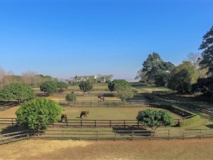 6 ha Farm in Summerveld