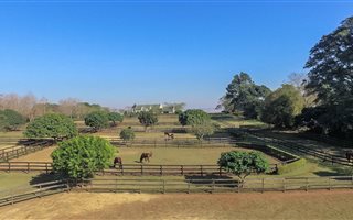 6 ha Farm in Summerveld