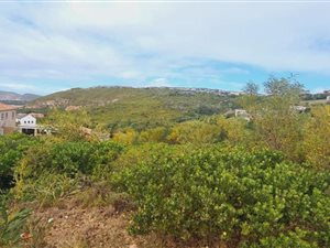 1000 m² Land available in Whale Rock