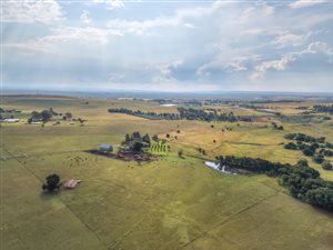 65 ha Farm in Randfontein