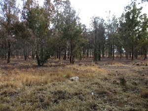 2.1 ha Land available in Walkers Fruit Farms