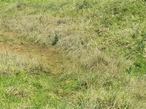5726 m² Land available in Pacaltsdorp