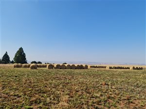 428 ha Farm in Magaliesburg