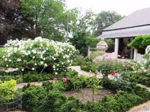 3 Bed House in Nieu Bethesda