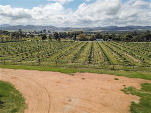 70 ha Farm in Thornhill