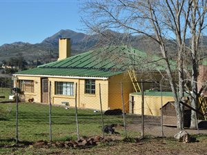12 ha Farm in Uniondale