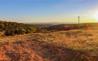 150 ha Farm in Alexandria