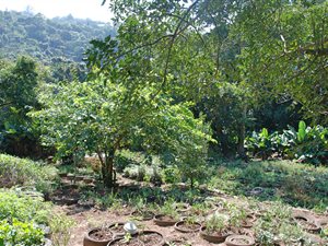 9904 m² Land available in Fields Hill