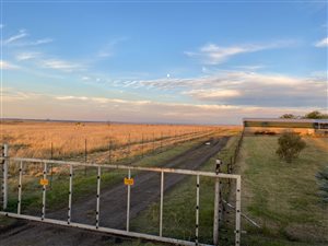 118 ha Farm in Bethal