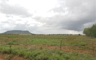 8.6 ha Farm in Bloemdal