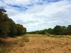 4468 m² Land available in Zandspruit Bush and Aero Estate