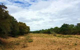 4468 m² Land available in Zandspruit Bush and Aero Estate