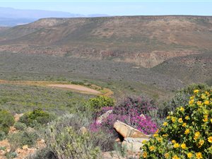 1506 ha Farm in Clanwilliam