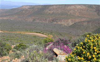 1506 ha Farm in Clanwilliam