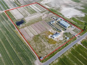 2.7 ha Farm in Philippi